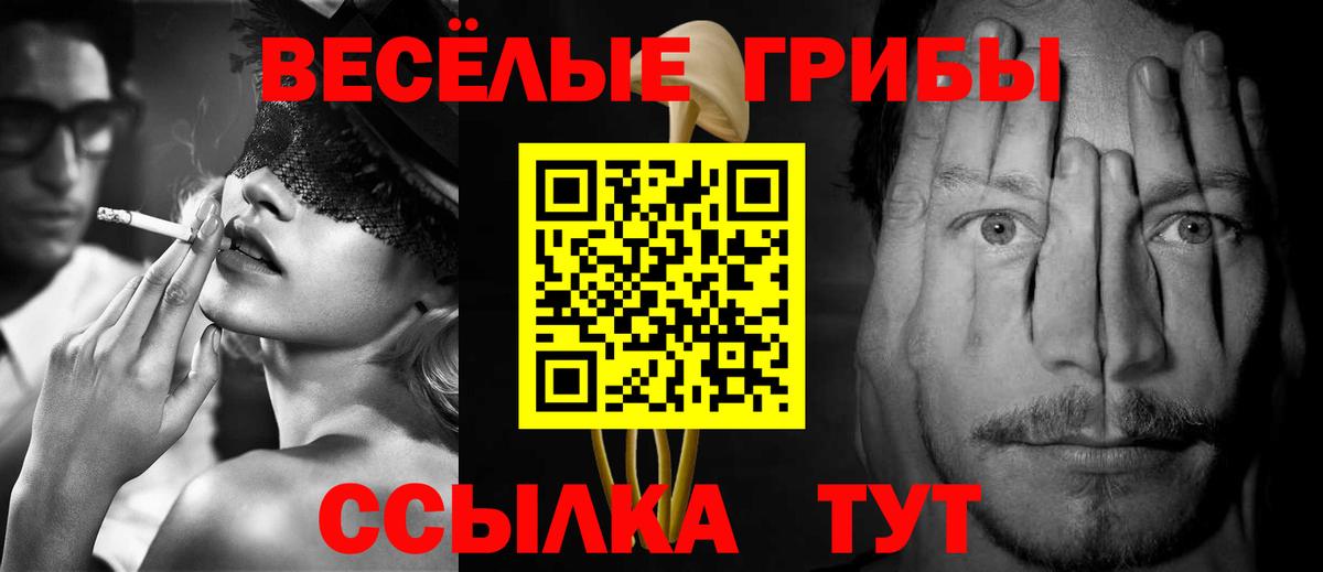 Псилоцибиновые грибы Psilocybine cubensis Конаково